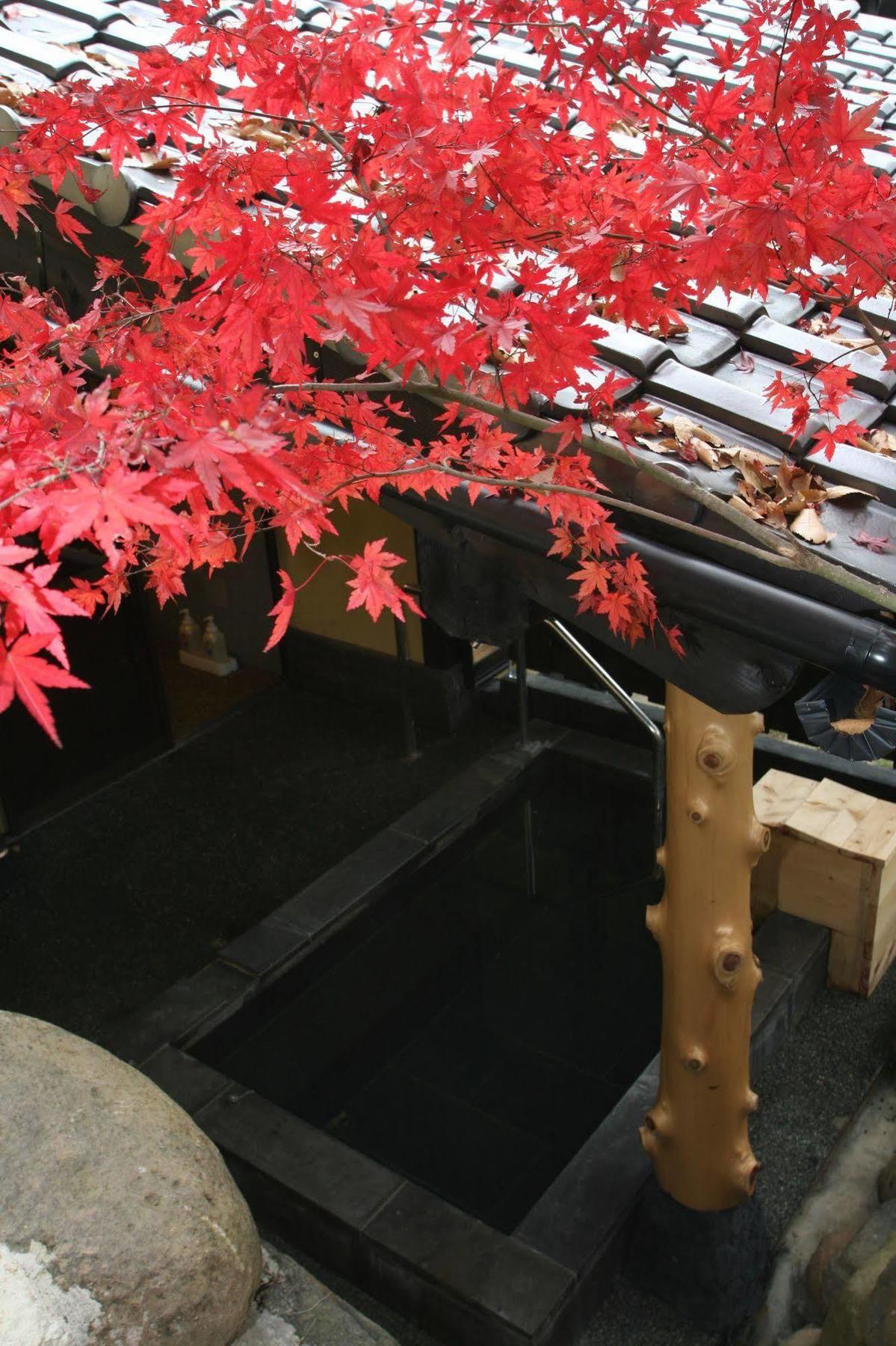Hotel Yamashinobu Minamioguni Esterno foto